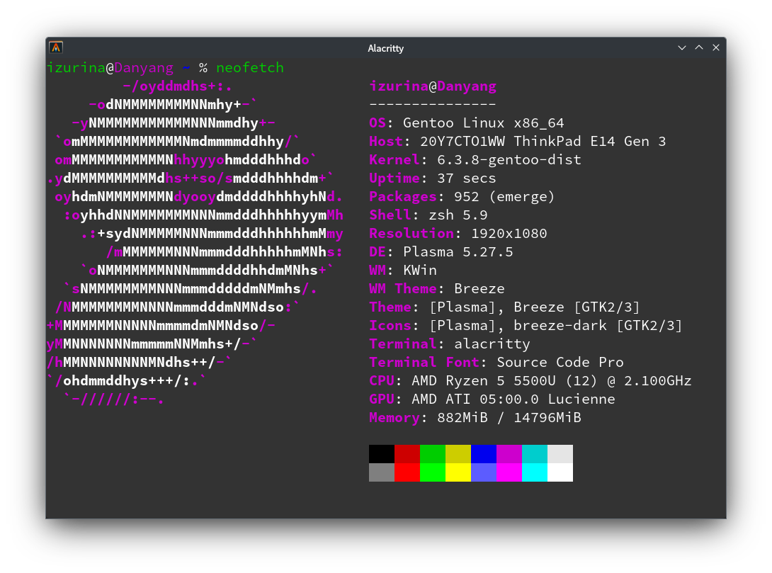 Plasmaが1GBも使っていない様子